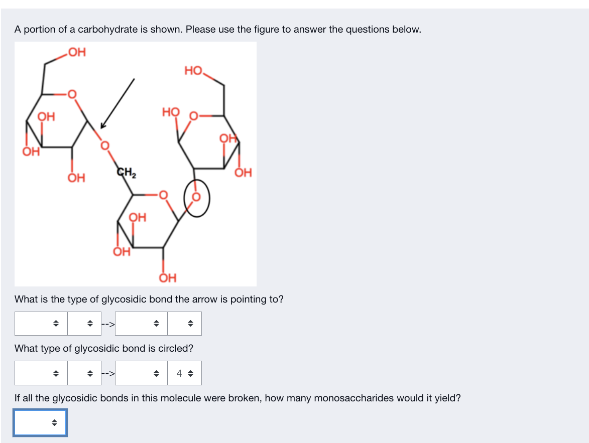 Solved A Portion Of A Carbohydrate Is Shown. Please Use The | Chegg.com