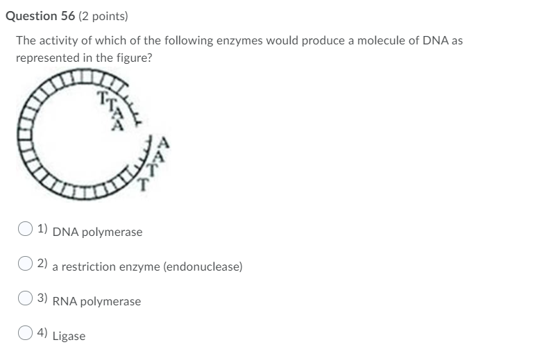 Solved Question 56 (2 Points) The Activity Of Which Of The | Chegg.com