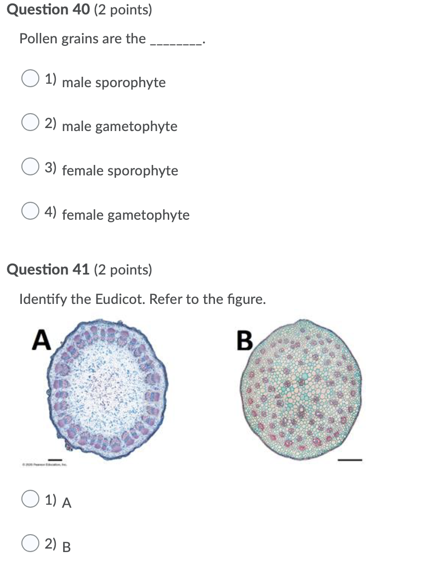 Solved Question 40 (2 points) Pollen grains are the 1) male