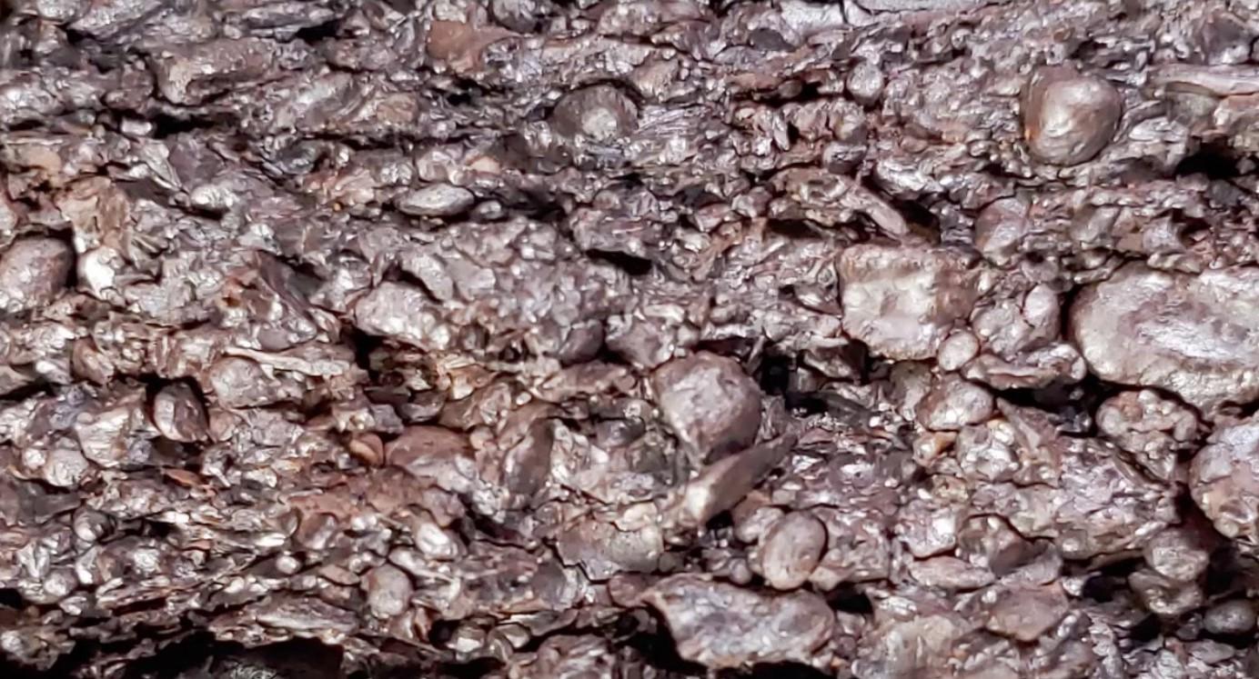 Solved SEDIMENTARY ROCKS WORKSHEET Does matrix fizz in acid?