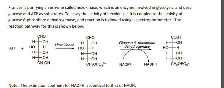 Total volume (mL) concentration(mg) Protein Total | Chegg.com