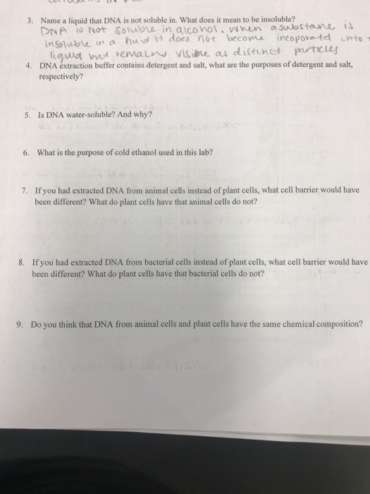 Solved Name a liquid that DNA is not soluble in. What does
