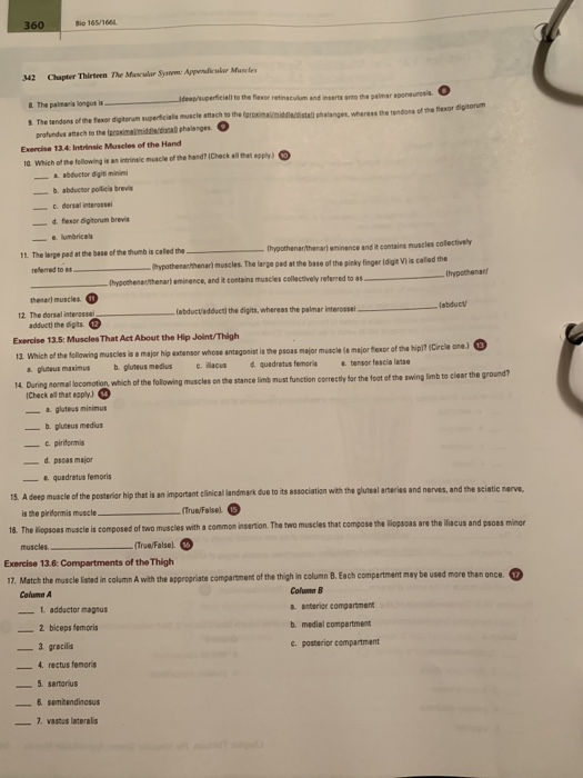 Solved io 165/1664 342 Chapter Thirteen The Mascular Sysve: | Chegg.com