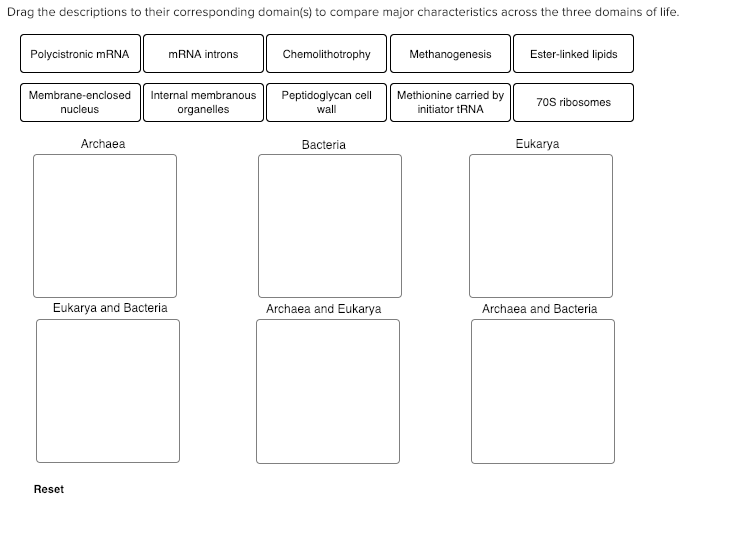 Solved Drag the descriptions to their corresponding