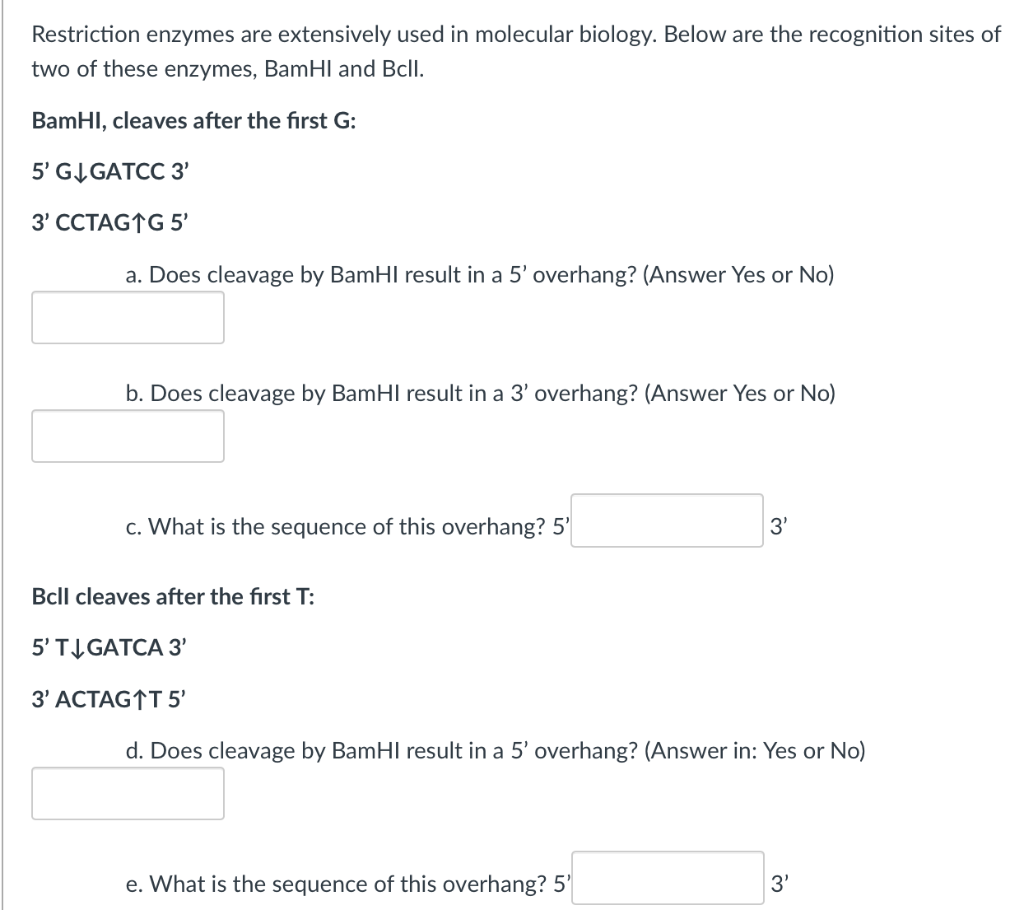 Solved Restriction Enzymes Are Extensively Used In Molecular | Chegg.com