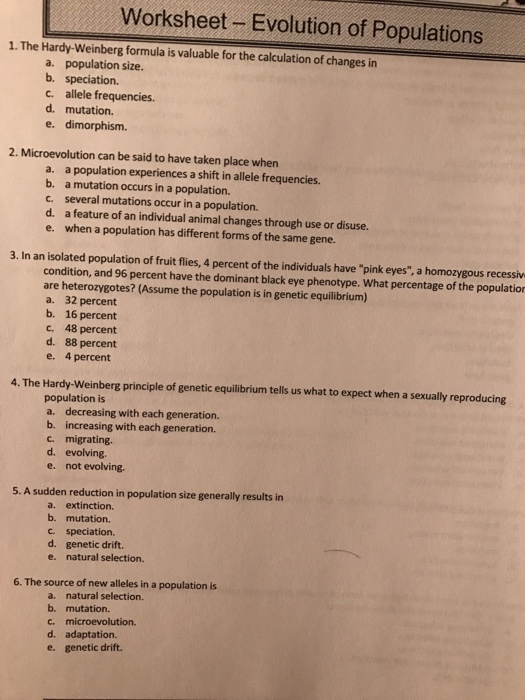 mutations-and-genetic-conditions-worksheet-ivuyteq