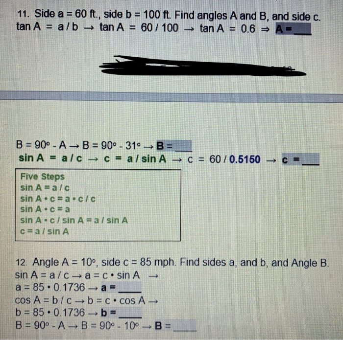 Right Triangle and Trigonometric Functions Exercise | Chegg.com