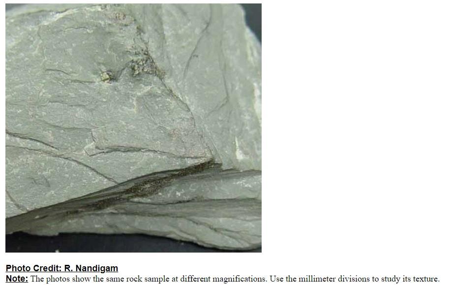 Solved Note The metamorphic rock shown here does not react