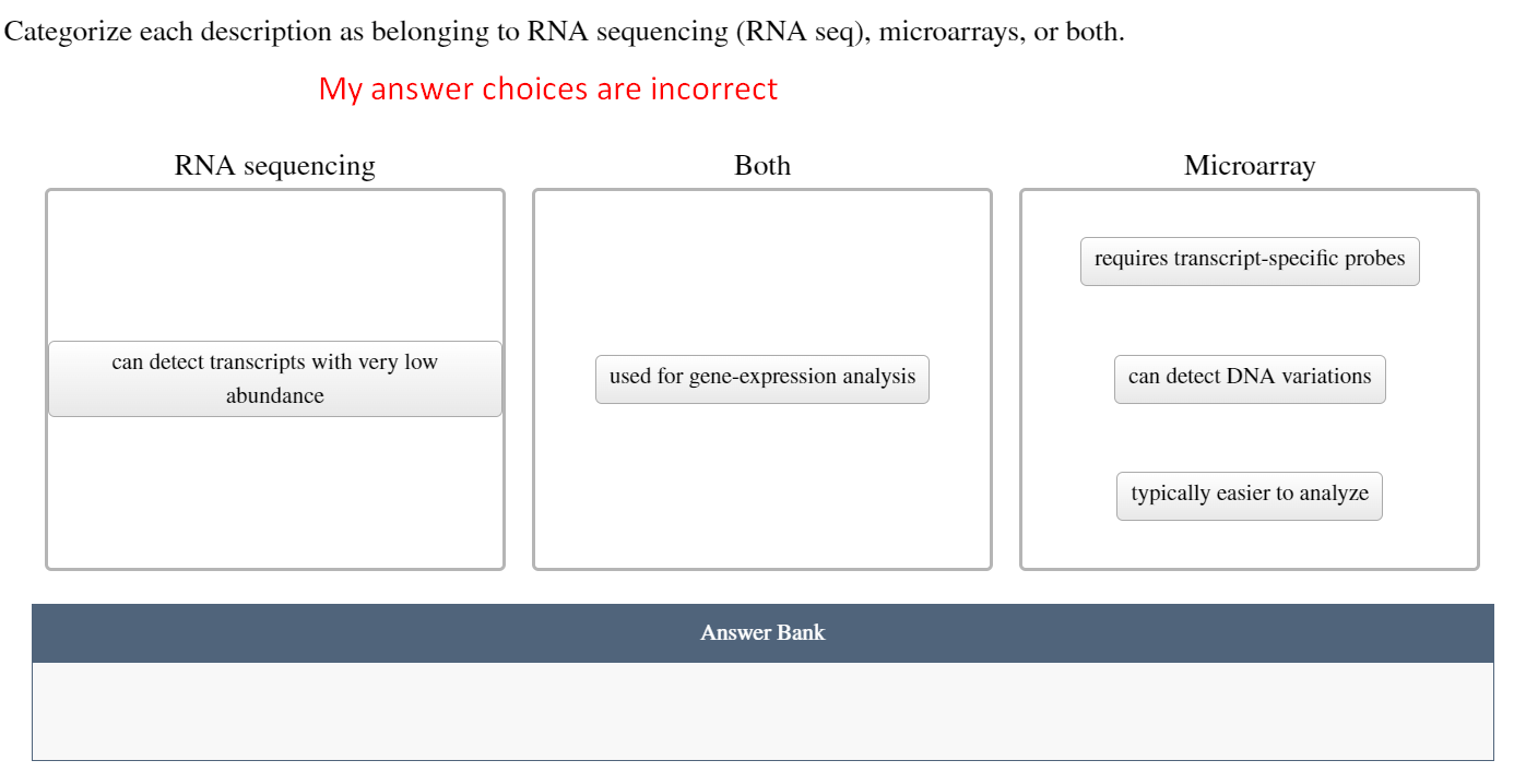 Solved ategorize each description as belonging to RNA | Chegg.com