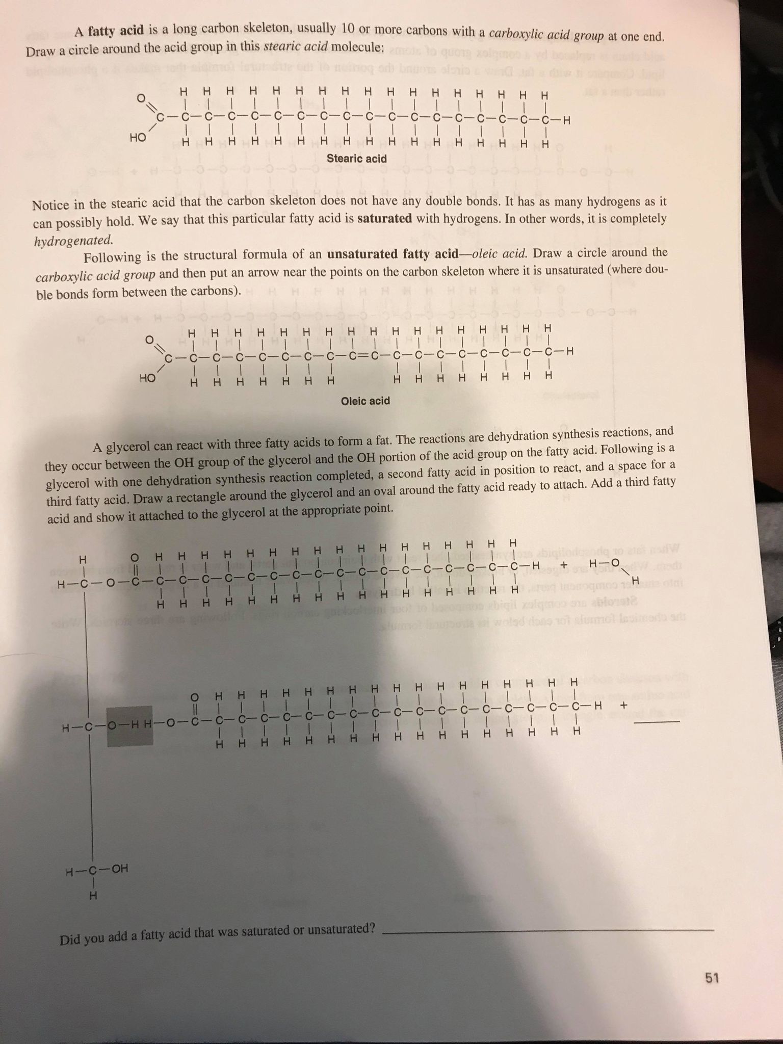 Solved A fatty acid is a long carbon skeleton, usually 10 or | Chegg.com