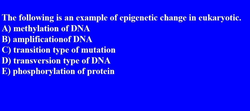 Solved The Following Is An Example Of Epigenetic Change In | Chegg.com