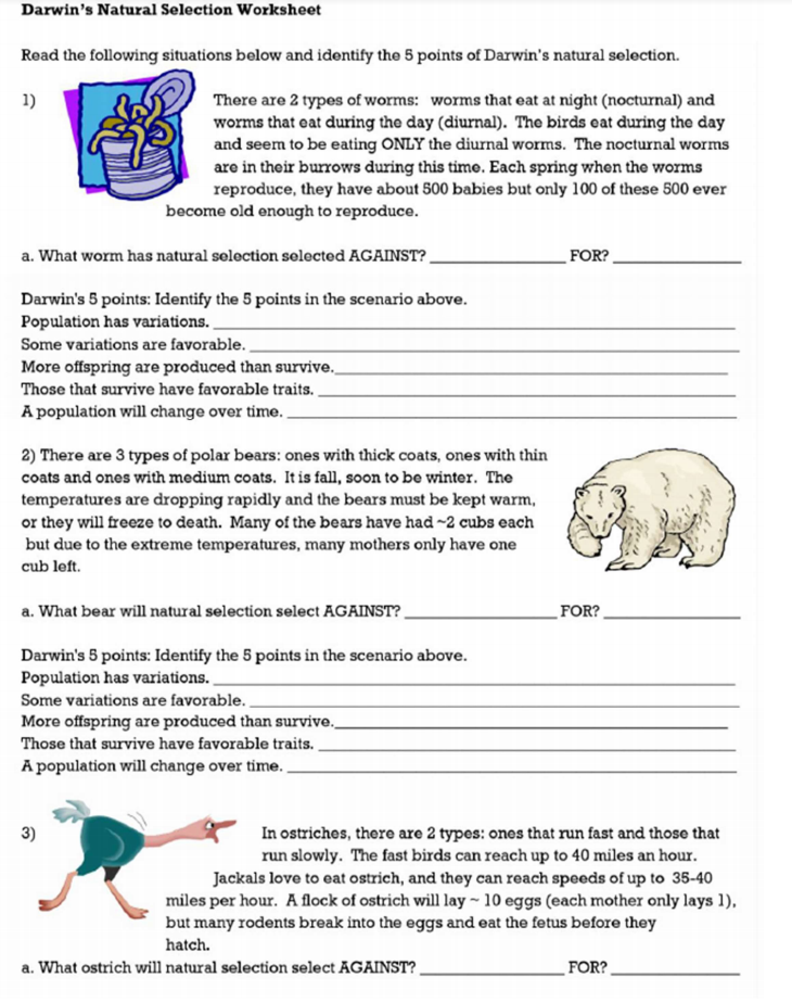 Solved Darwin's Natural Selection Worksheet Read the | Chegg.com