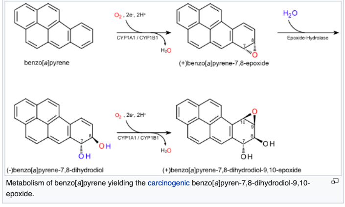 Solved 02.2e, 2H H20 CYP1A1/CYP1B1 Epoxide-Hydrolase H20 | Chegg.com