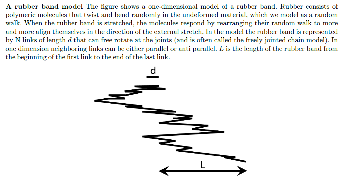 Solved A rubber band model The figure shows a