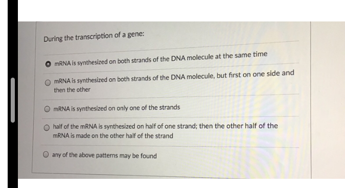 Solved During the transcription of a gene: O mRNA is | Chegg.com