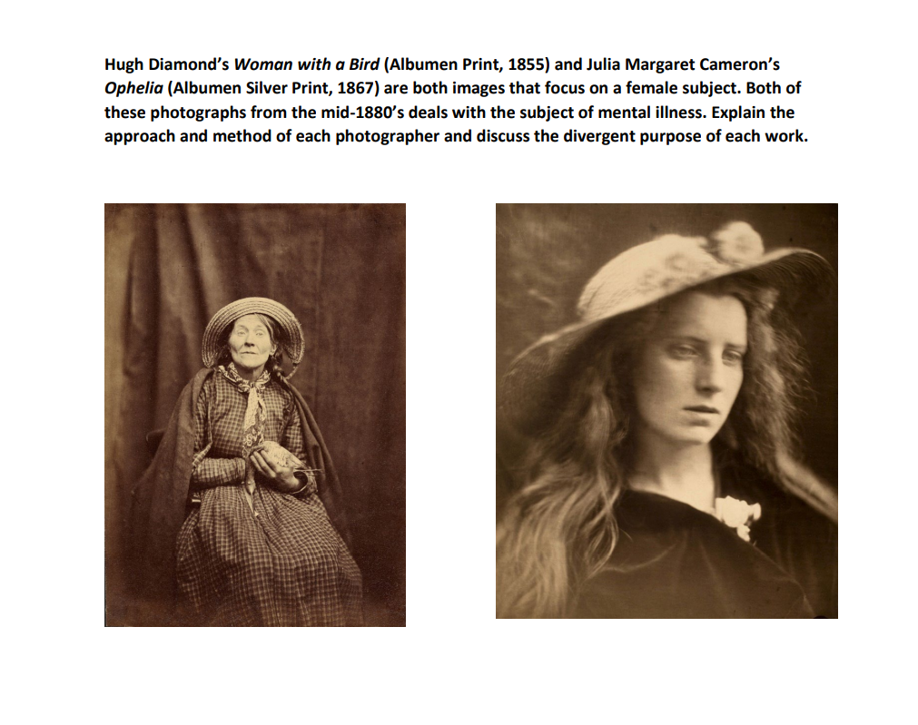 Hugh Diamond???s Woman with a Bird (Albumen Print,