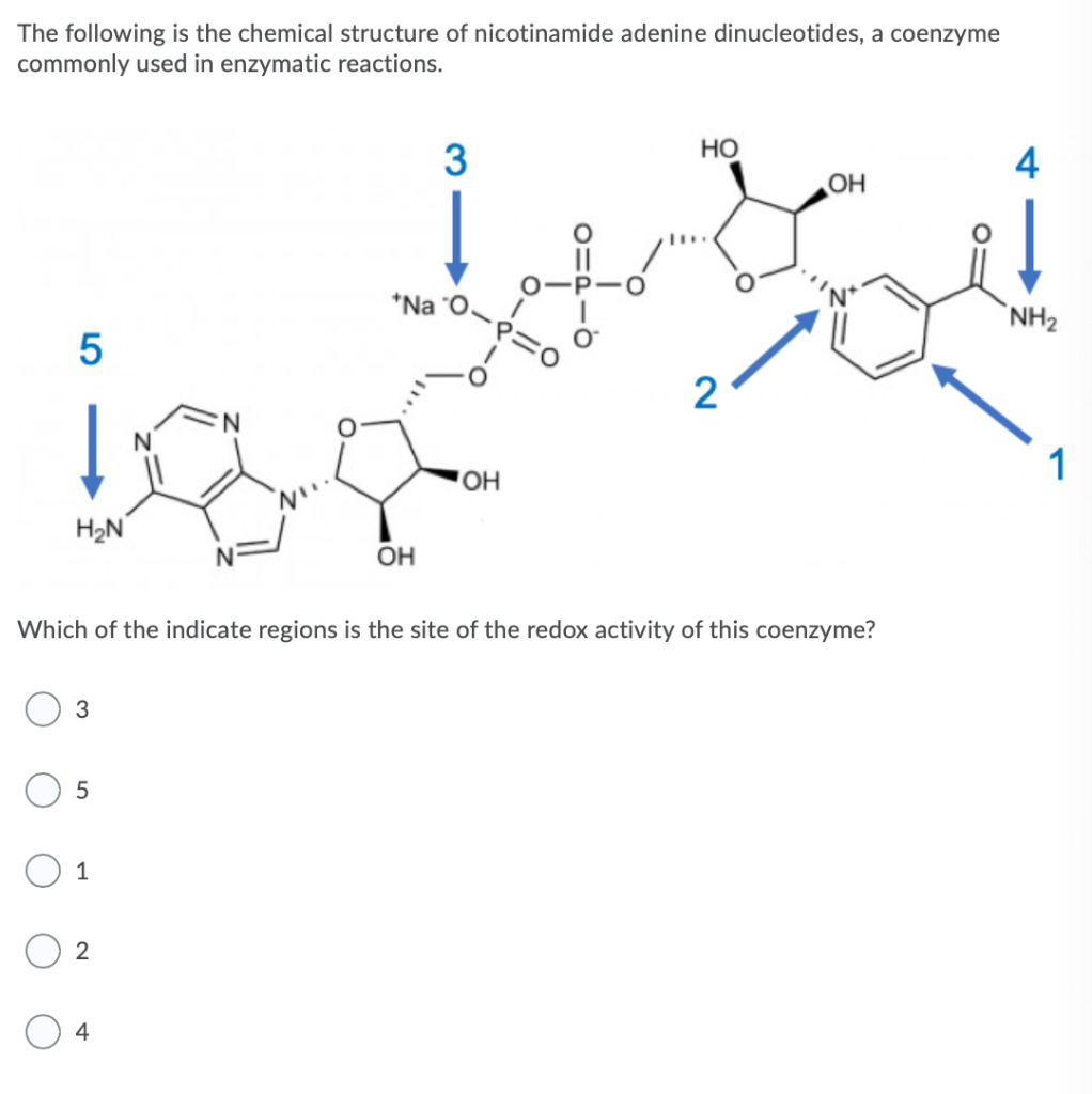 Solved Given the active site diagram below, identify the | Chegg.com