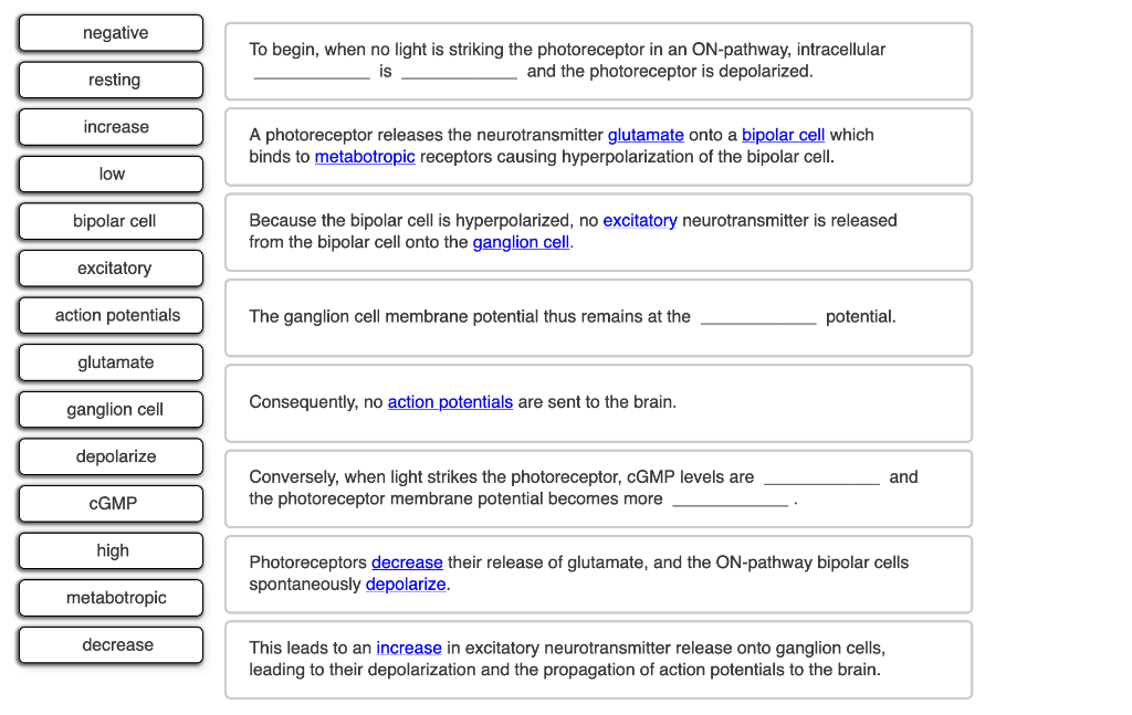 Solved Review the mechanism of the ON-pathway in retinal | Chegg.com