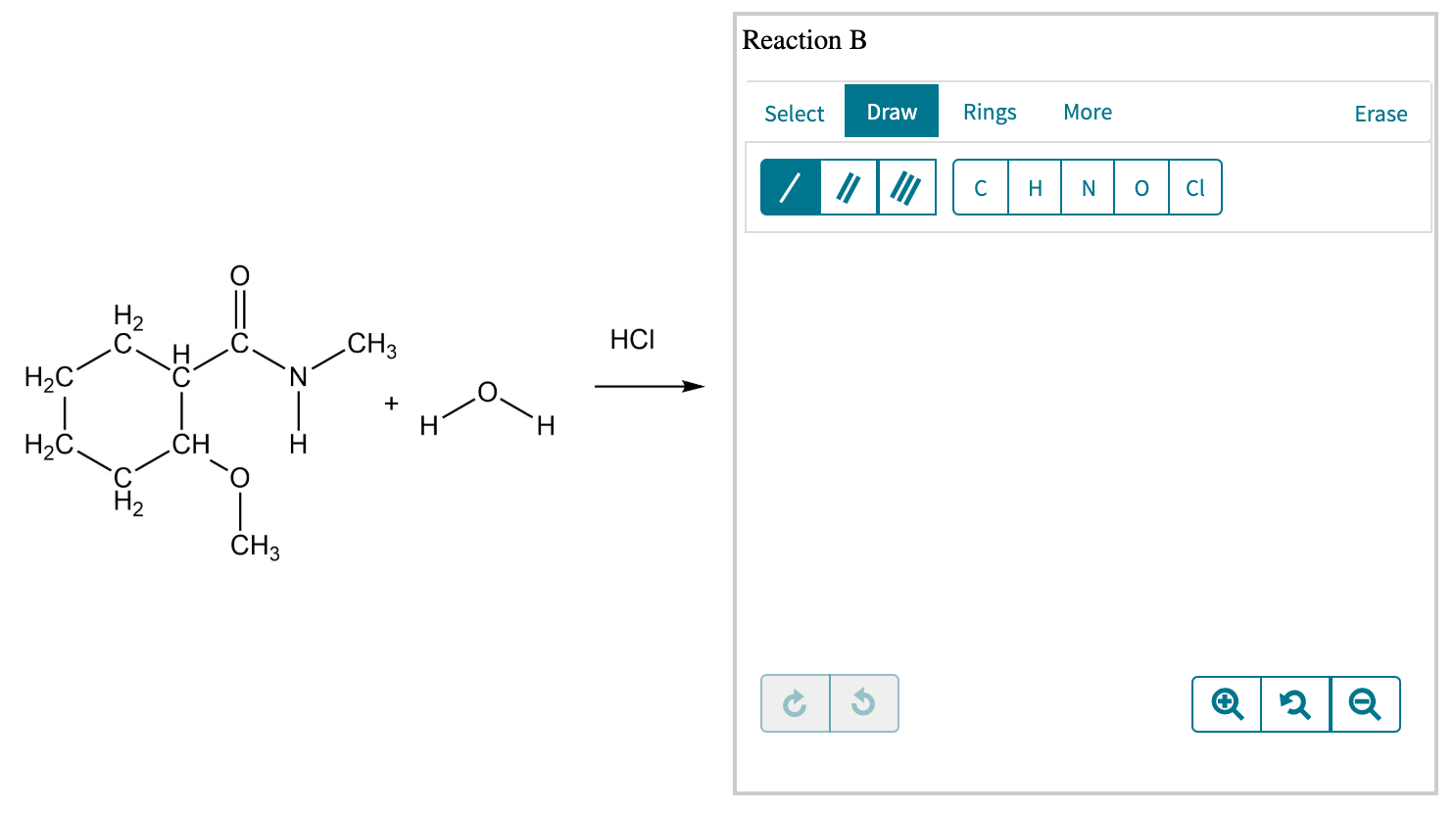 Solved Draw all of the products formed in each reaction.