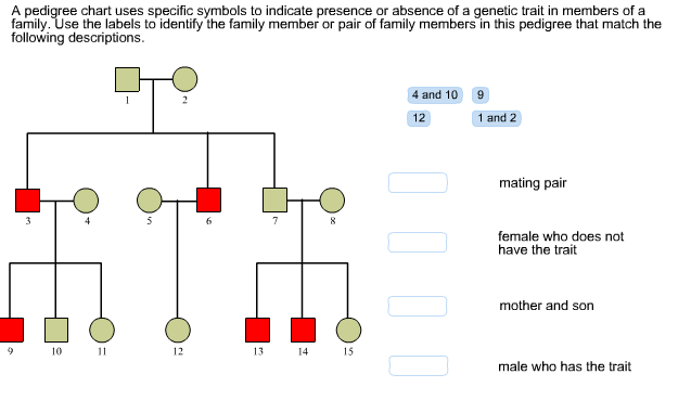 Solved A Pedigree Chart Uses Specific Symbols To Indicate