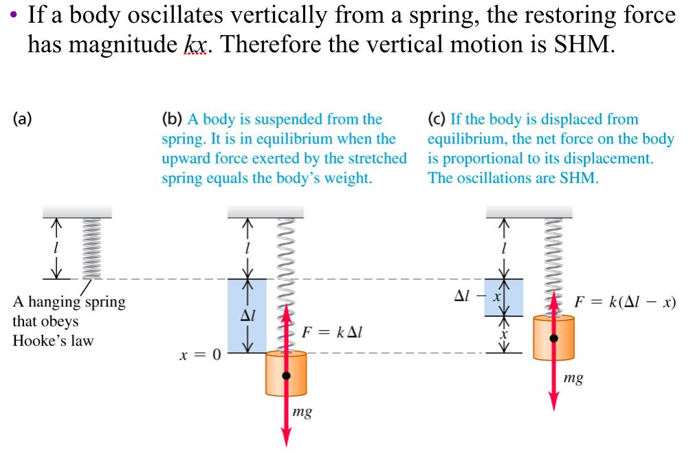 Solved If A Body Oscillates Vertically From A Spring The