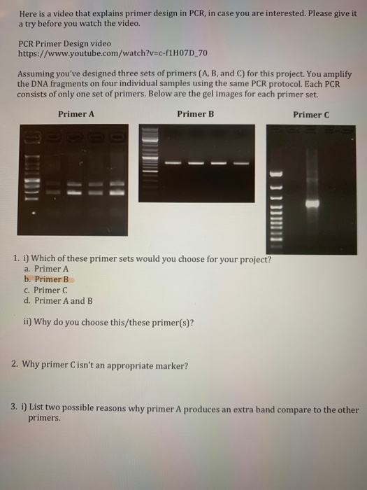 Solved Here is a video that explains primer design in PCR,