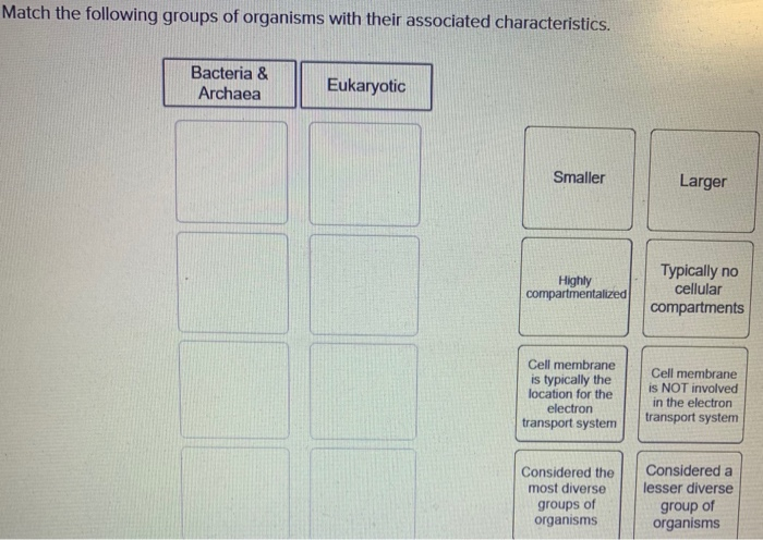 Solved Match the following groups of organisms with their | Chegg.com