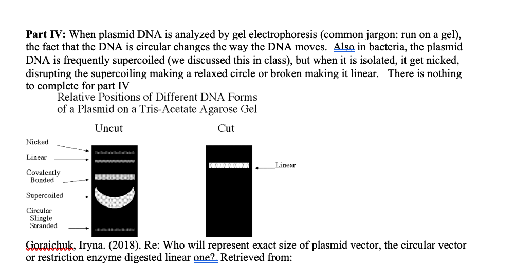 part-iv-when-plasmid-dna-is-analyzed-by-gel-chegg