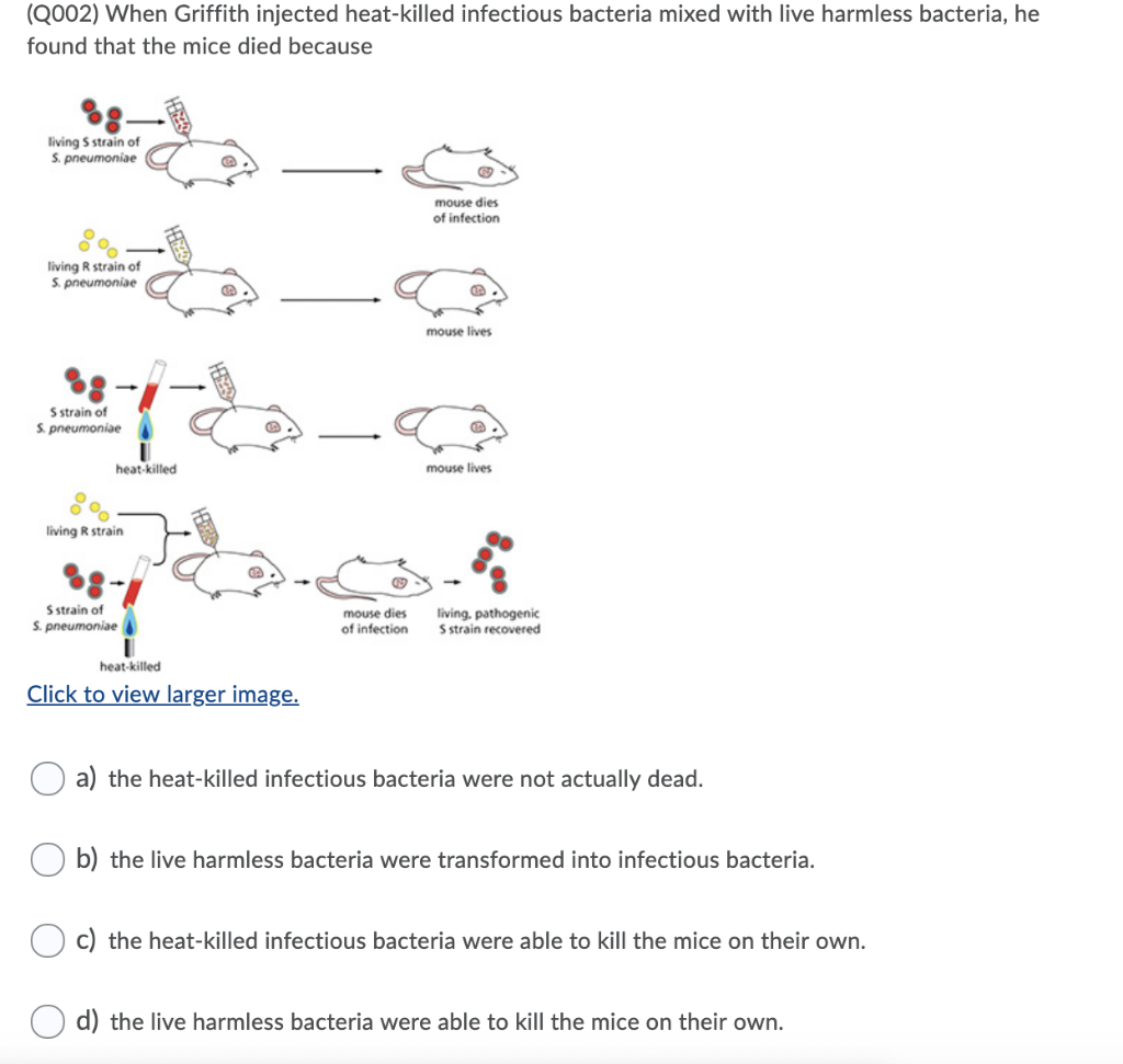 Solved (2002) When Griffith injected heatkilled infectious