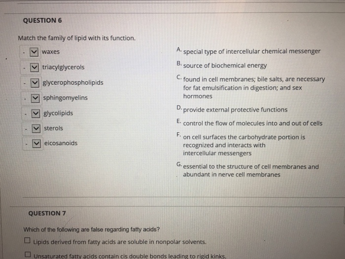 Solved QUESTION 6 Match the family of lipid with its | Chegg.com