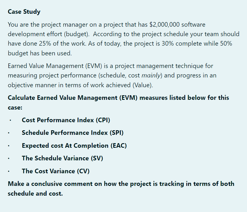 case study project manager