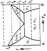 Solved : Draw The Free Energy Vs Composition Curves For The | Chegg.com