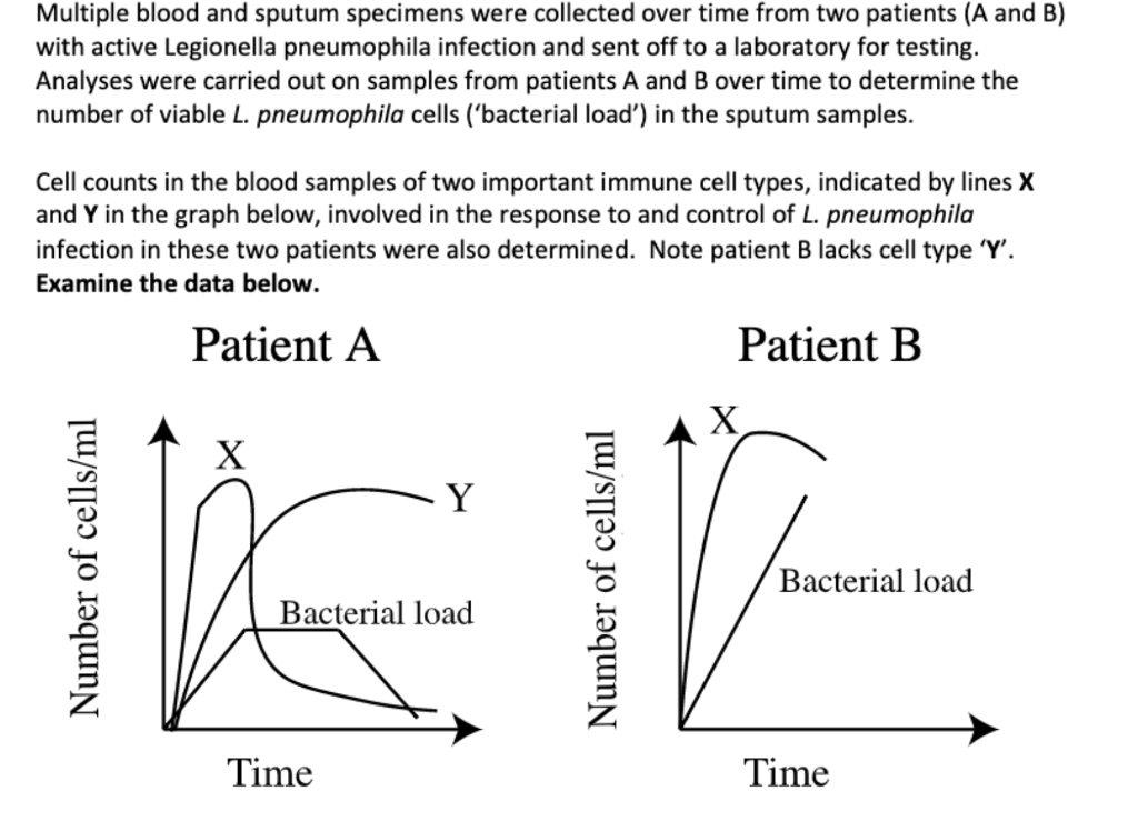 Solved Question G. 4 Marks, ~50 Words Patient B Lacks Cell | Chegg.com