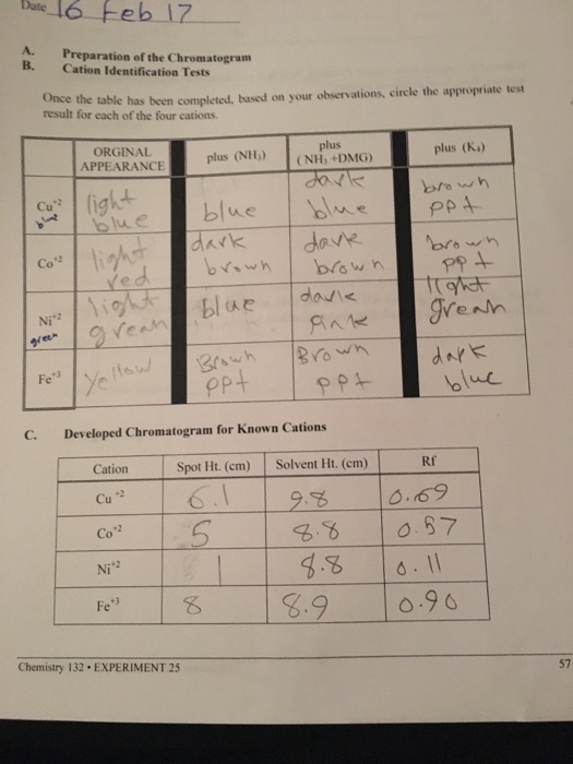 Solved PAPER CHROMATOGRAPHY EXPERIMENT EQUIPMENT AND