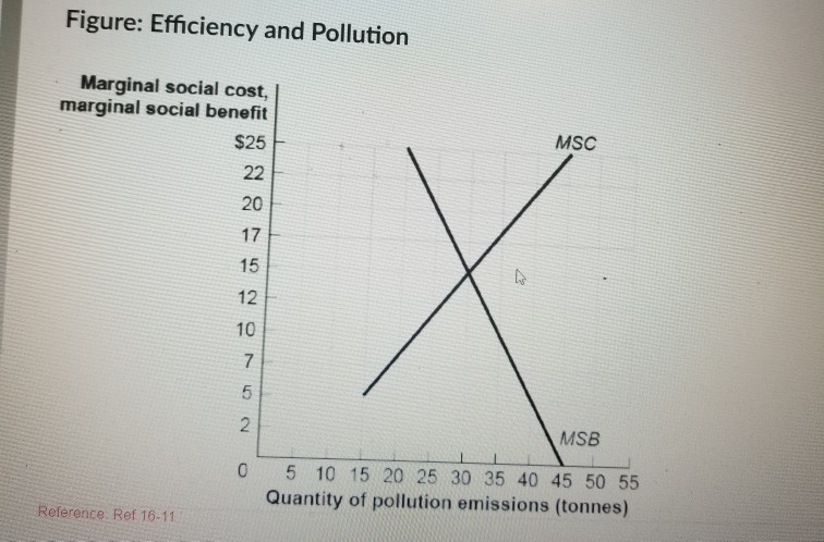 Solved Figure Efficiency And Pollution Marginal Social Chegg Com   Image 