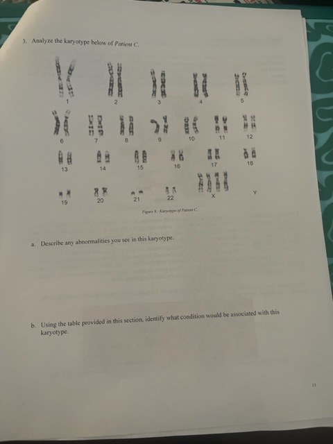 Solved 3. Analyze the karyotype below of Potient C, a. | Chegg.com