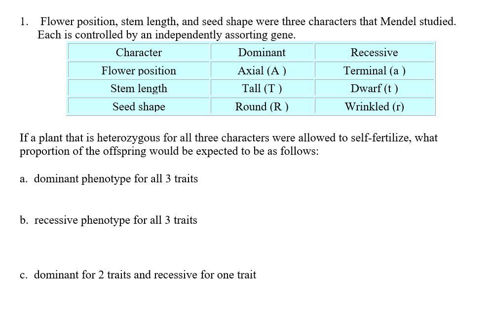 choosing the right stem length