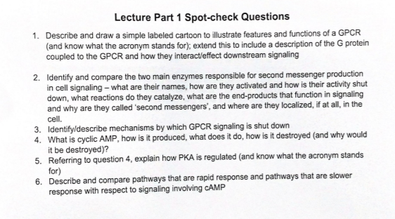 Solved Lecture Part 1 Spot-check Questions 1. Describe and | Chegg.com