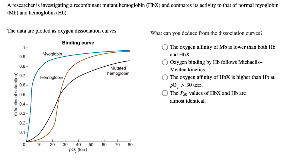 Myoglobin: From physiological roles to potential