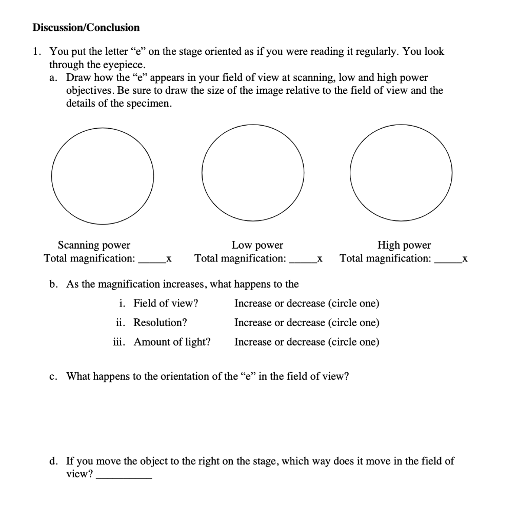 Solved Discussion/Conclusion 1. You put the letter “e” on