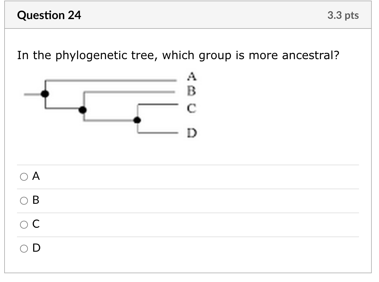 Solved Question 24 3.3 Pts In The Phylogenetic Tree, Which | Chegg.com