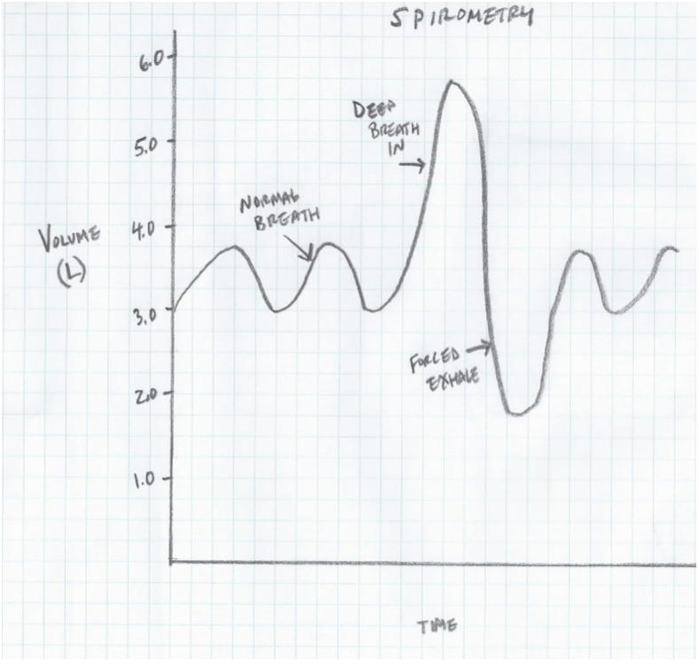 solved-use-the-spirometry-graph-below-to-answer-the-chegg