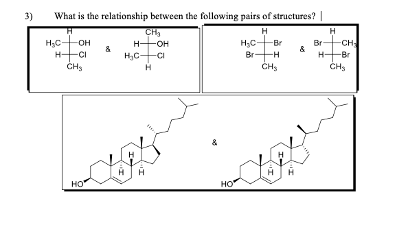 Solved What is the relationship between the following pairs | Chegg.com