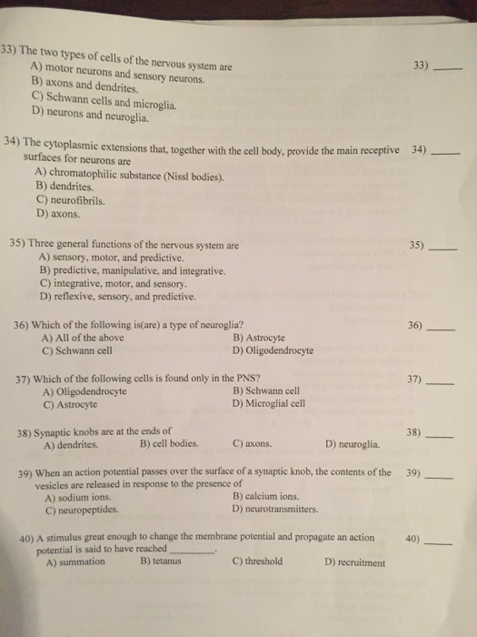 Solved xamination 3 Biology 221 (Anatomy &Physiology D) | Chegg.com