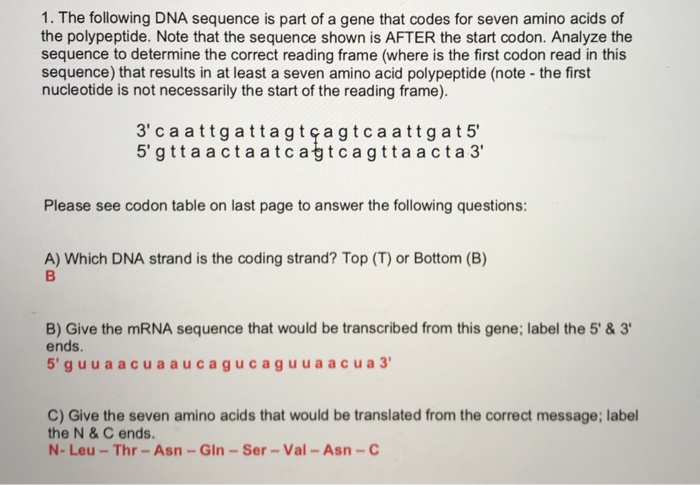 Solved 1. The Following DNA Sequence Is Part Of A Gene That | Chegg.com