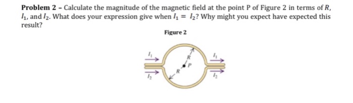 Solved Problem 2 - Calculate the magnitude of the magnetic | Chegg.com