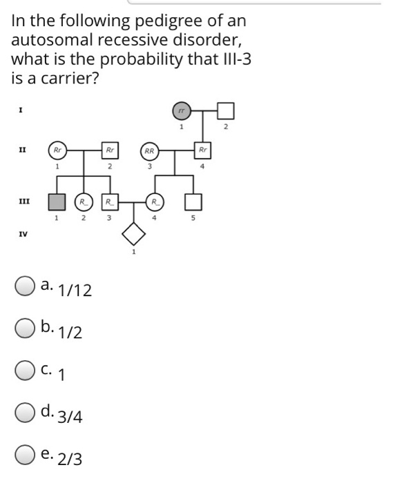 Solved How many chromatids are found at the end of prophase | Chegg.com