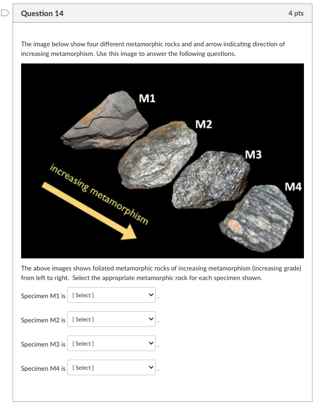 Solved The Image Below Show Four Different Metamorphic Rocks | Chegg.com