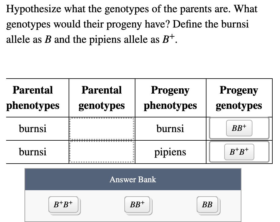 Solved J. A. Moore Investigated The Inheritance Of Spotting | Chegg.com