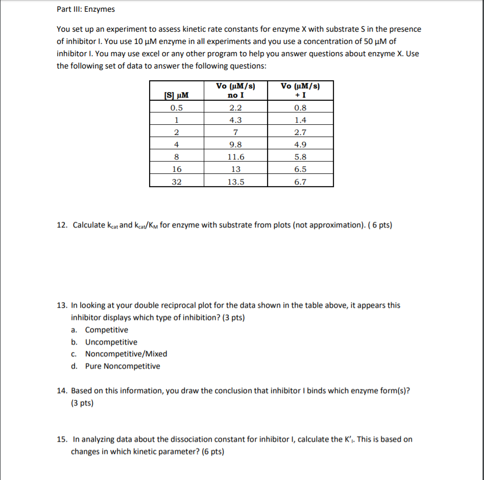 propose a research question about enzymes that could be investigated